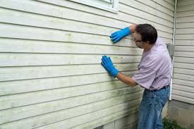 Best Vinyl Siding Installation  in Lineville, AL